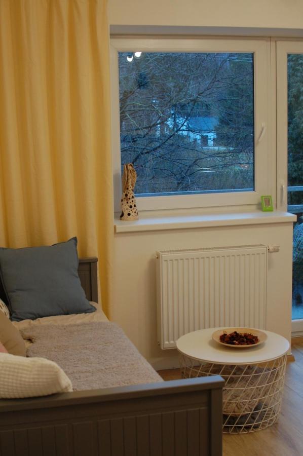 Apartman Masaryk Lipová-lázně Buitenkant foto